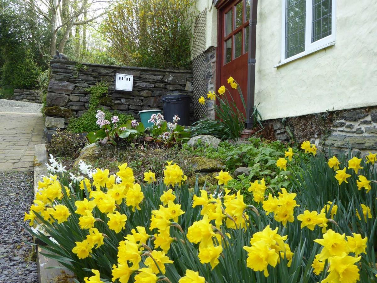 Hafannedd Villa Corwen Exteriör bild